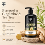 Ginger & Tea Tree Purifying Routine – 4 Products | FATMEY
