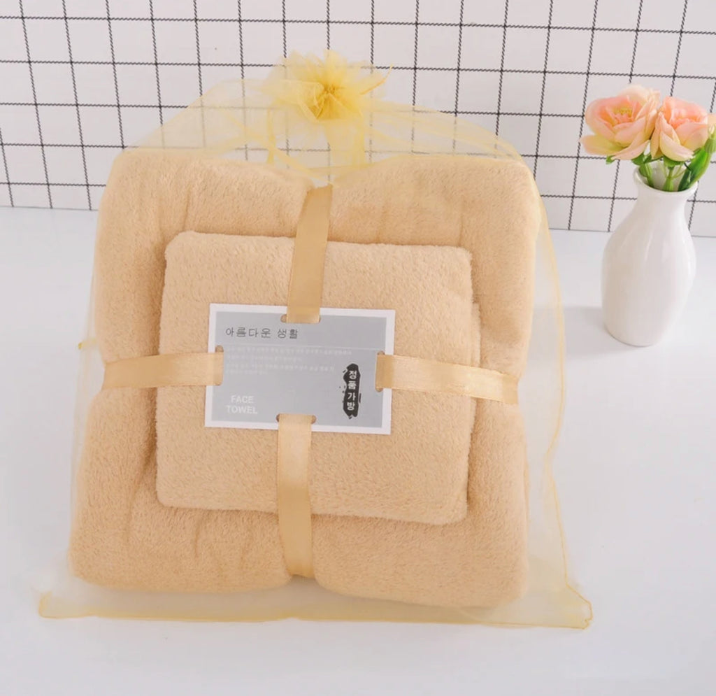 Ensemble de 2 Serviettes Microfibre Ultra Douces