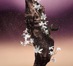 Parfum Fleur du Déser