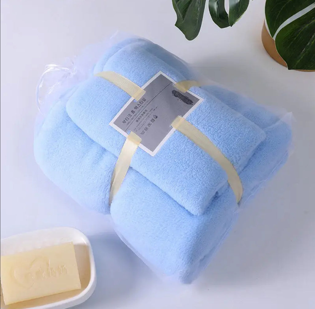 Ensemble de 2 Serviettes Microfibre Ultra Douces