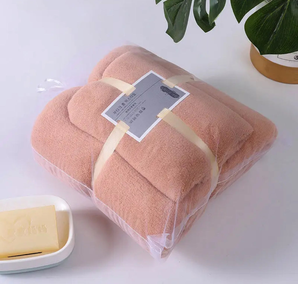 Ensemble de 2 Serviettes Microfibre Ultra Douces