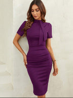 Robe Classique Moulante À Col Montant Unicolore