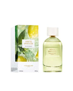 Verte Envolée – Eau de Parfum 100 ml | Yves Rocher