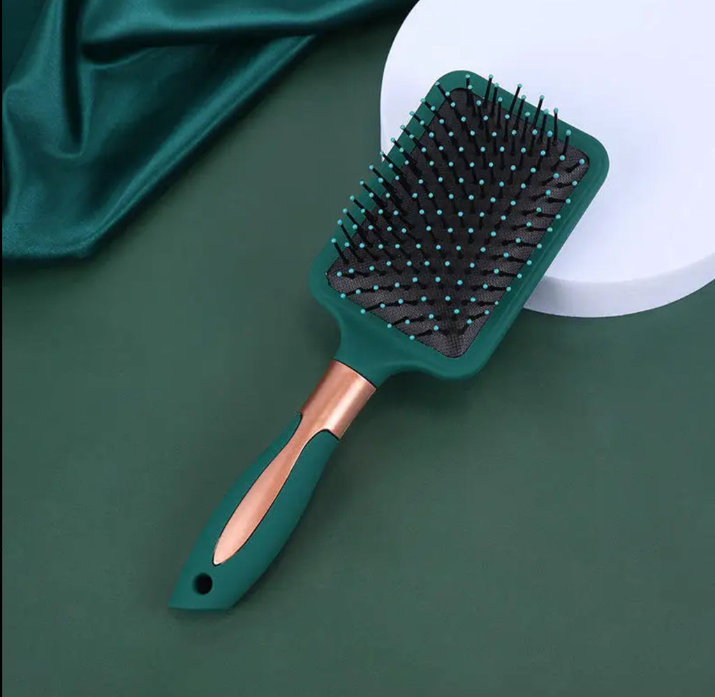 Ensemble de 4 Brosses à Cheveux