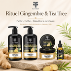 Ginger & Tea Tree Purifying Routine – 4 Products | FATMEY