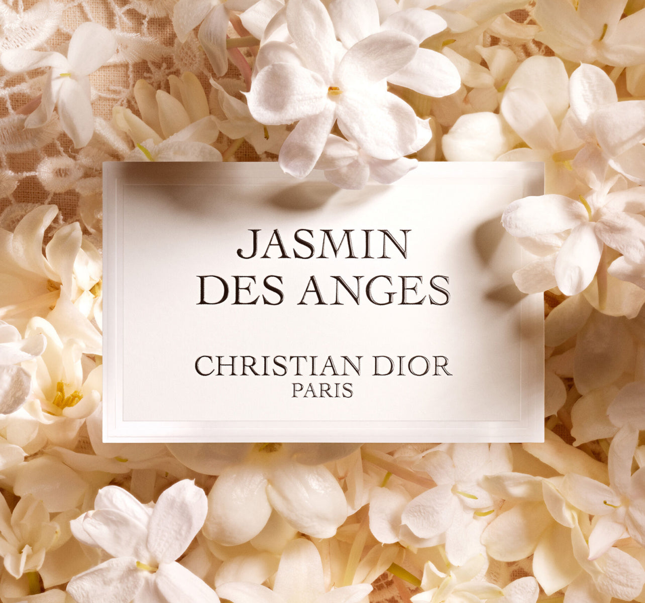 JASMIN DES ANGES
Eau de parfum mixte - notes florales, abricotées et miellées