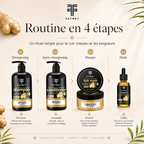 Ginger & Tea Tree Purifying Routine – 4 Products | FATMEY