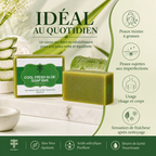 Savon Aloe Vera & Acide Salicylique | FATMEY