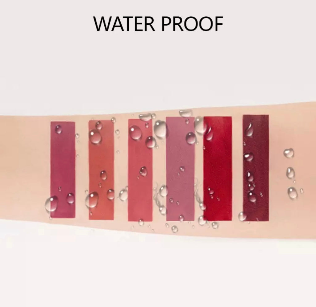 Set of 6 Lipsticks – Assorted Shades